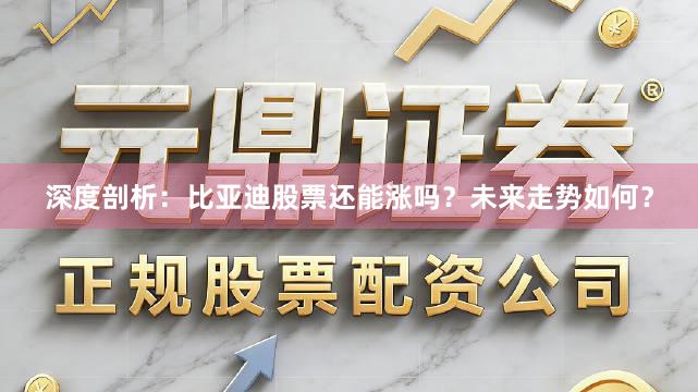 深度剖析：比亚迪股票还能涨吗？未来走势如何？