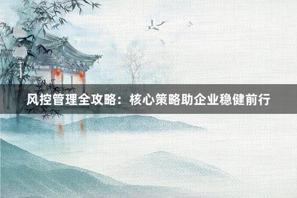风控管理全攻略：核心策略助企业稳健前行