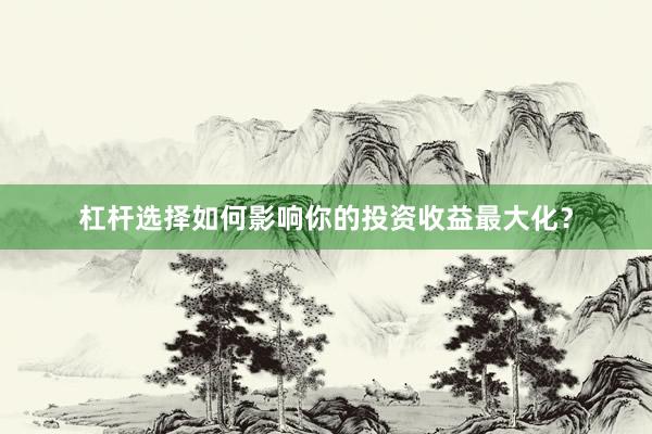杠杆选择如何影响你的投资收益最大化？