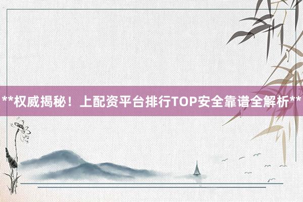 **权威揭秘！上配资平台排行TOP安全靠谱全解析**