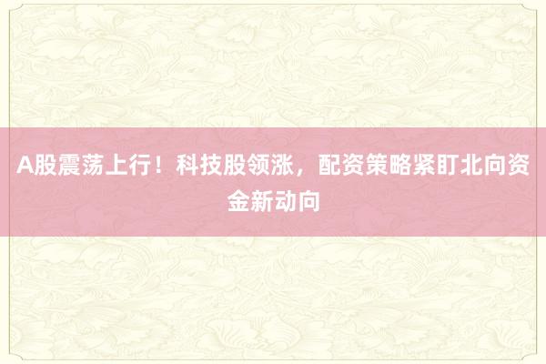 A股震荡上行！科技股领涨，配资策略紧盯北向资金新动向
