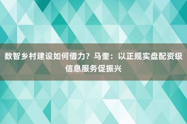 数智乡村建设如何借力？马奎：以正规实盘配资级信息服务促振兴