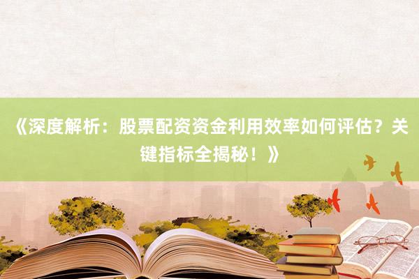《深度解析：股票配资资金利用效率如何评估？关键指标全揭秘！》