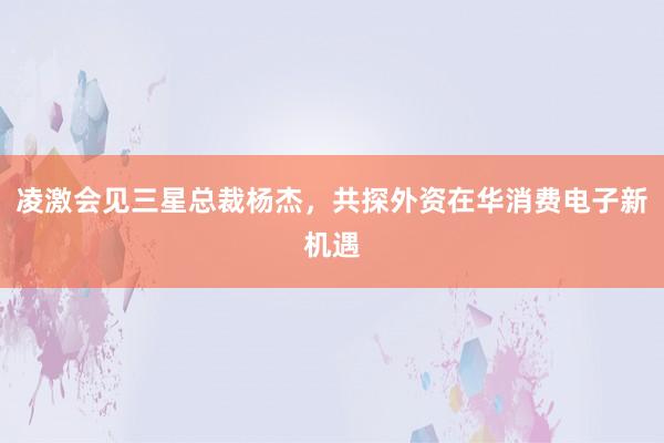 凌激会见三星总裁杨杰，共探外资在华消费电子新机遇