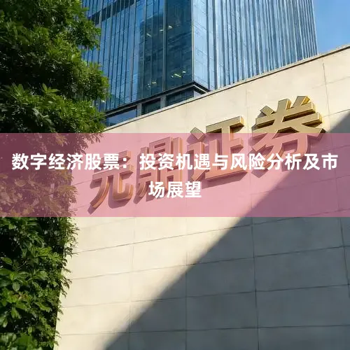 数字经济股票：投资机遇与风险分析及市场展望