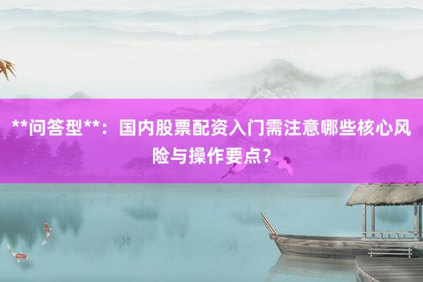 **问答型**：国内股票配资入门需注意哪些核心风险与操作要点？