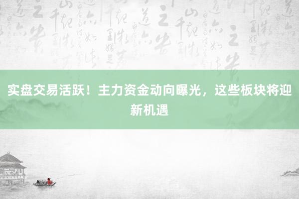 实盘交易活跃！主力资金动向曝光，这些板块将迎新机遇