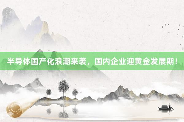 半导体国产化浪潮来袭，国内企业迎黄金发展期！