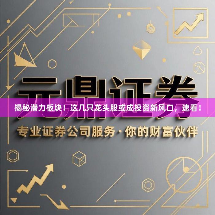 揭秘潜力板块！这几只龙头股或成投资新风口，速看！