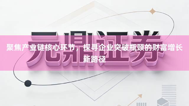 聚焦产业链核心环节,探寻企业突破瓶颈的财富增长新路径