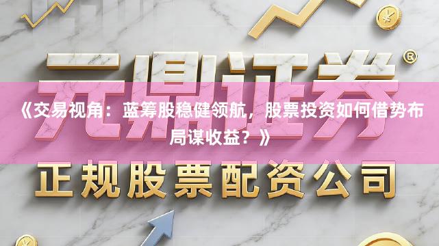 《交易视角：蓝筹股稳健领航，股票投资如何借势布局谋收益？》