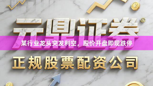 某行业龙头突发利空，股价开盘即现跌停