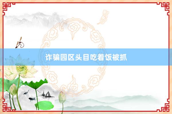 诈骗园区头目吃着饭被抓